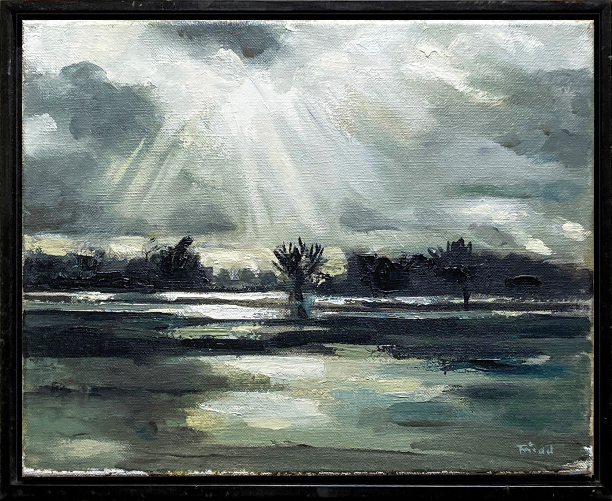 Lutz Friedel: Bild ‚Nach dem Gewitter, überschwemmte Havel‘ (2008) (Unikat)