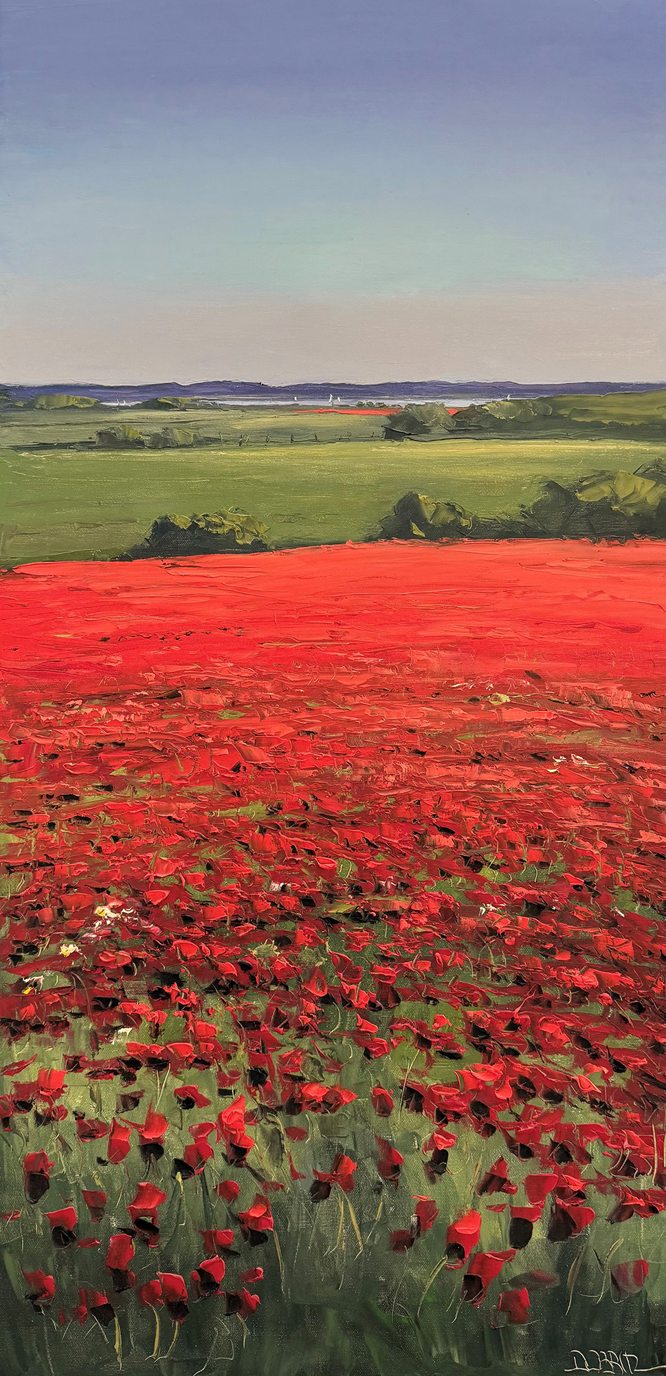 Stefan Dobritz: Bild ‚Mohnfeld in Holstein‘ (2025) (Unikat)