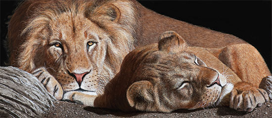 Bild "Löwen", auf Keilrahmen von Gerd Bannuscher