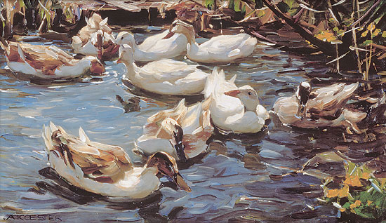 Picture "Nine Ducks in Early Spring", on stretcher frame by Alexander Koester