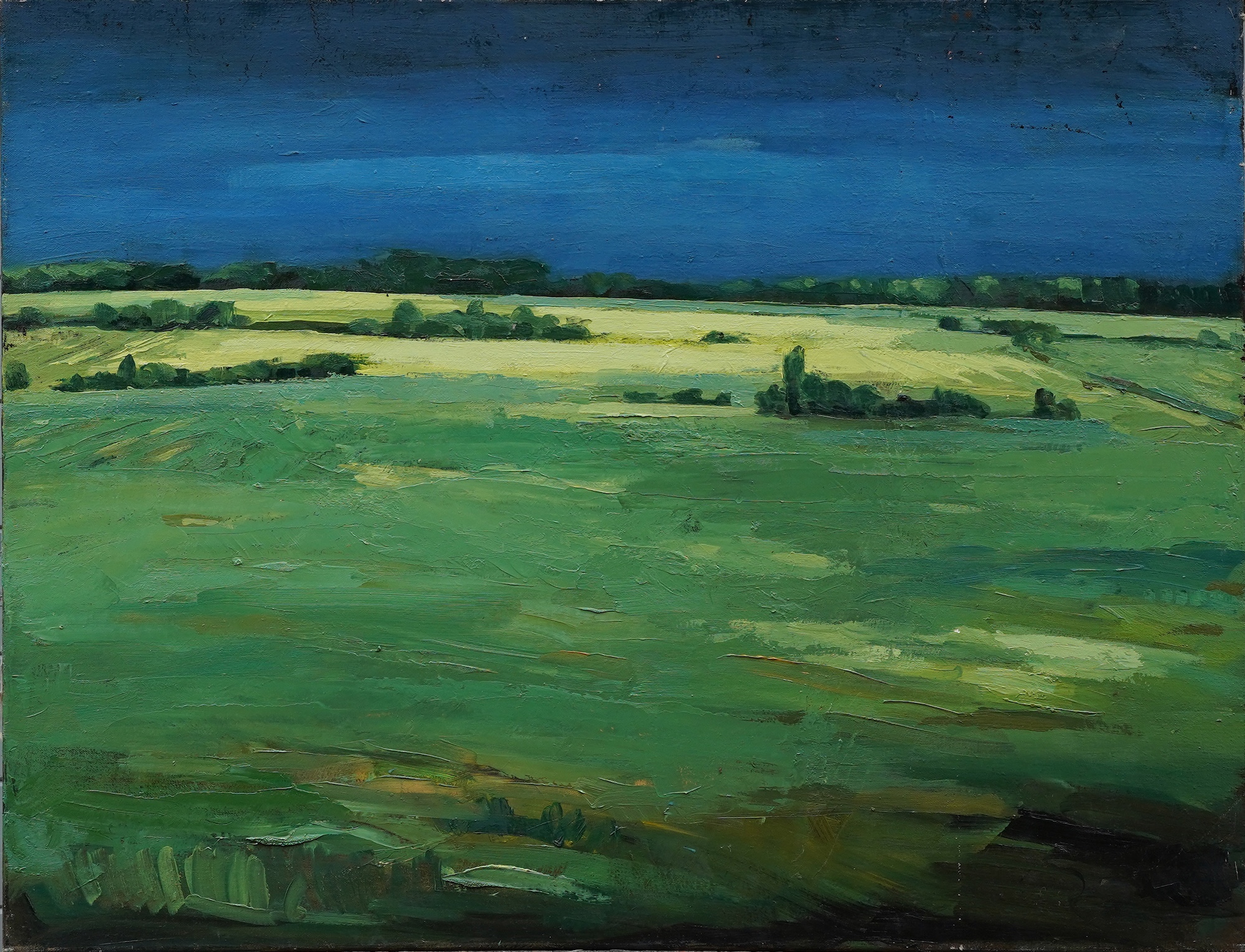 Lutz Friedel: Bild ‚Wiese im Havelland‘ (2011) (Unikat)