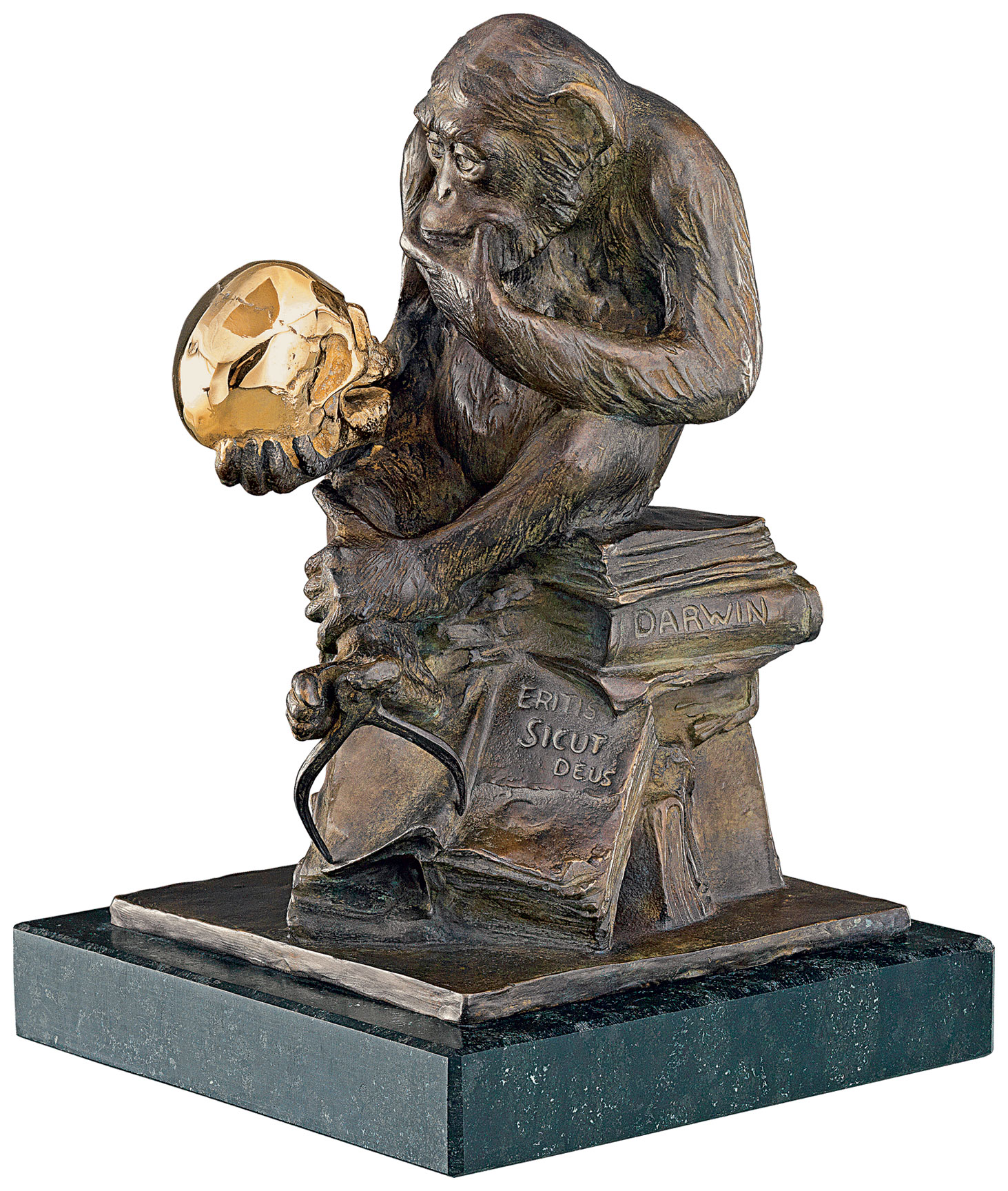Skulptur "Affe mit Schädel" (1892-93), Version in Bronze von Wolfgang Hugo Rheinhold