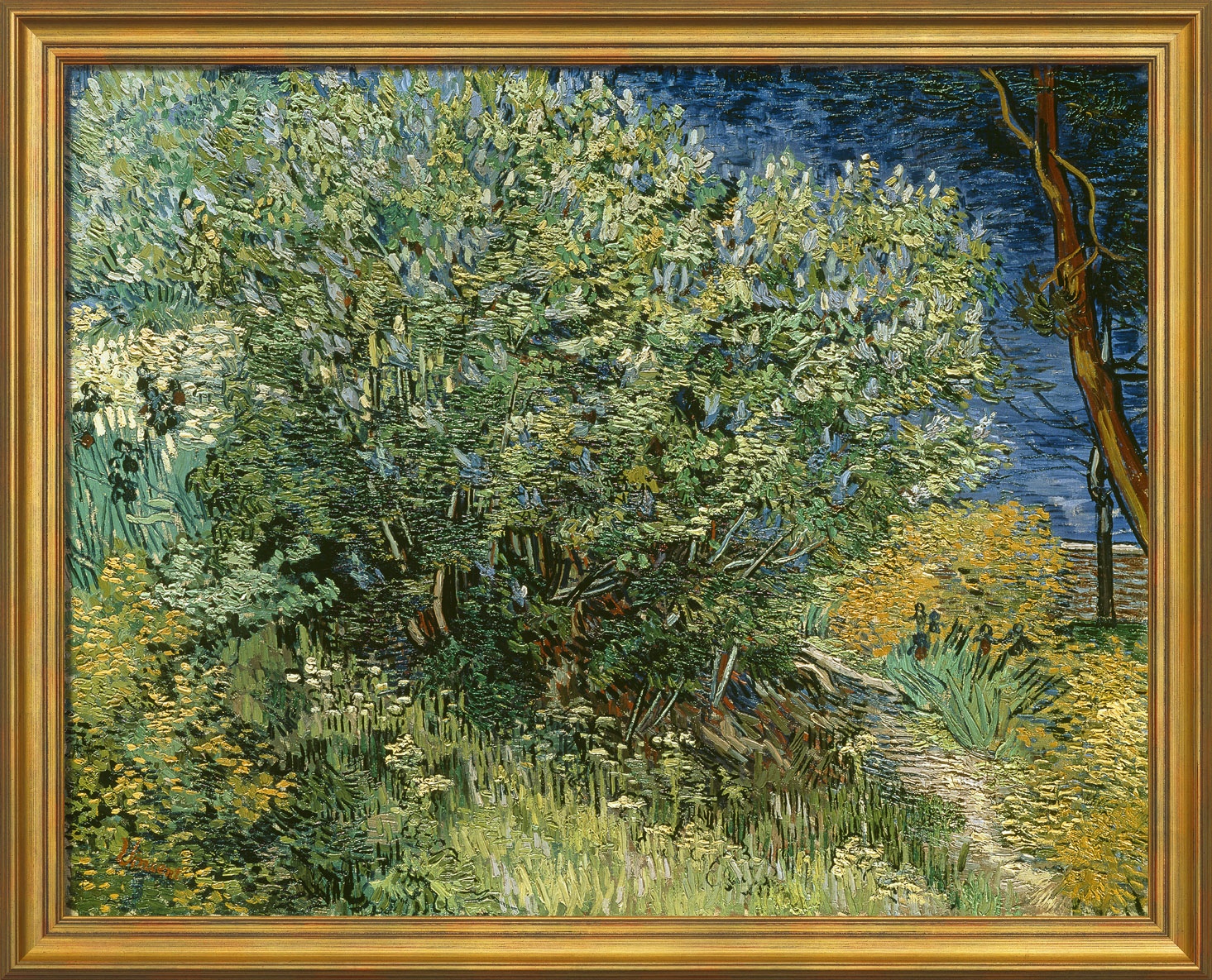 Bild "Fliederbusch" (1889), gerahmt von Vincent van Gogh