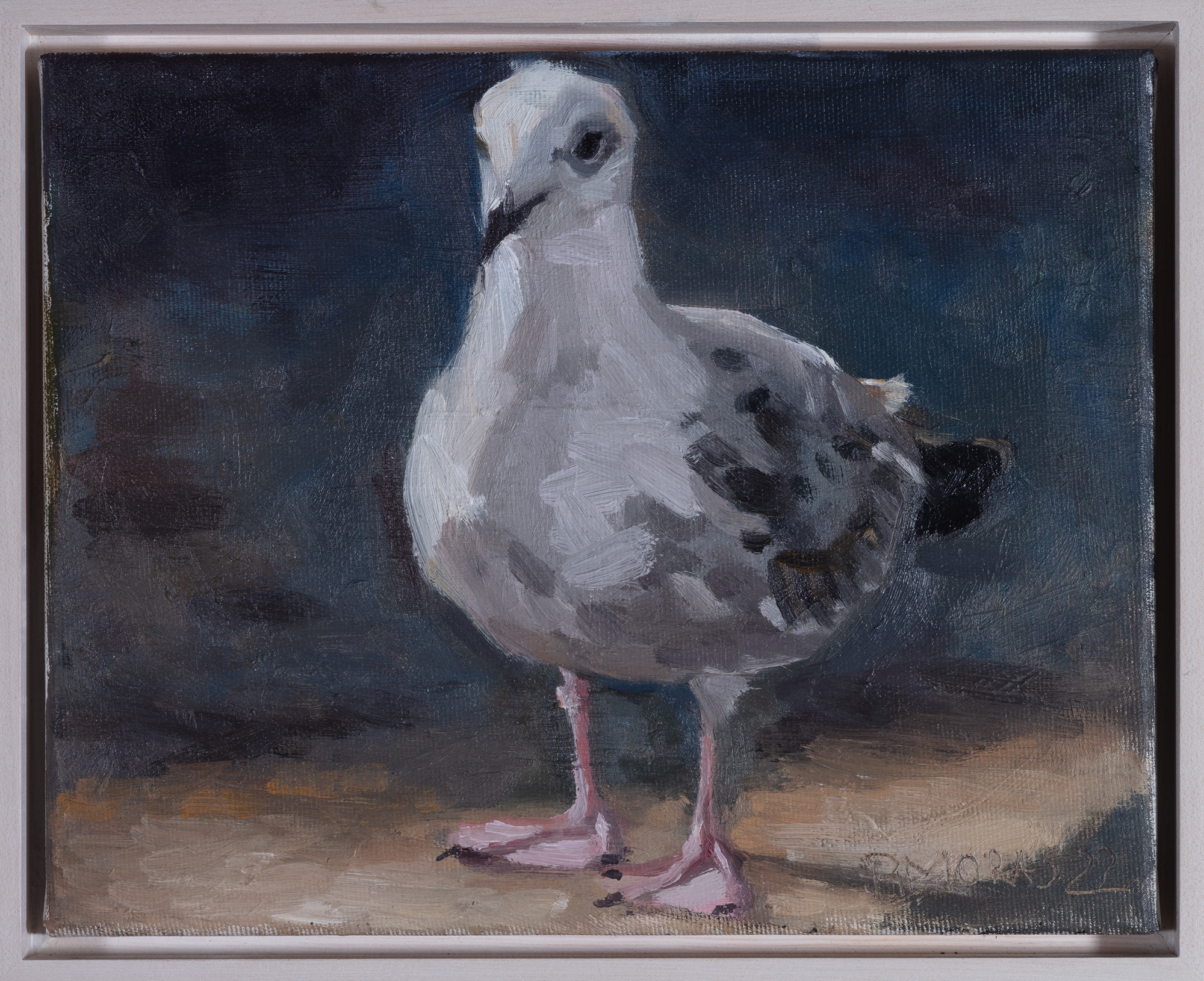 Bettina Moras: Bild ‚Kleine Möwe‘ (2023) (Unikat)