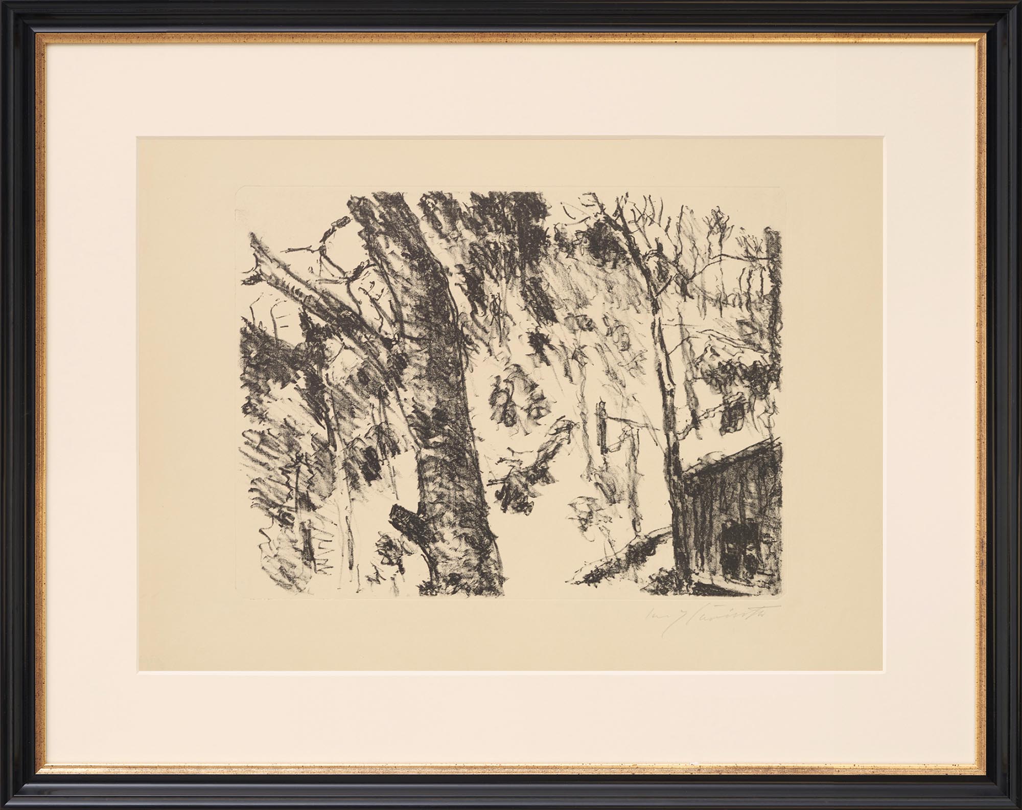 Lovis Corinth: Bild ‚Buchenwald‘ aus ‚Vorfrühling im Gebirge‘ (1922)