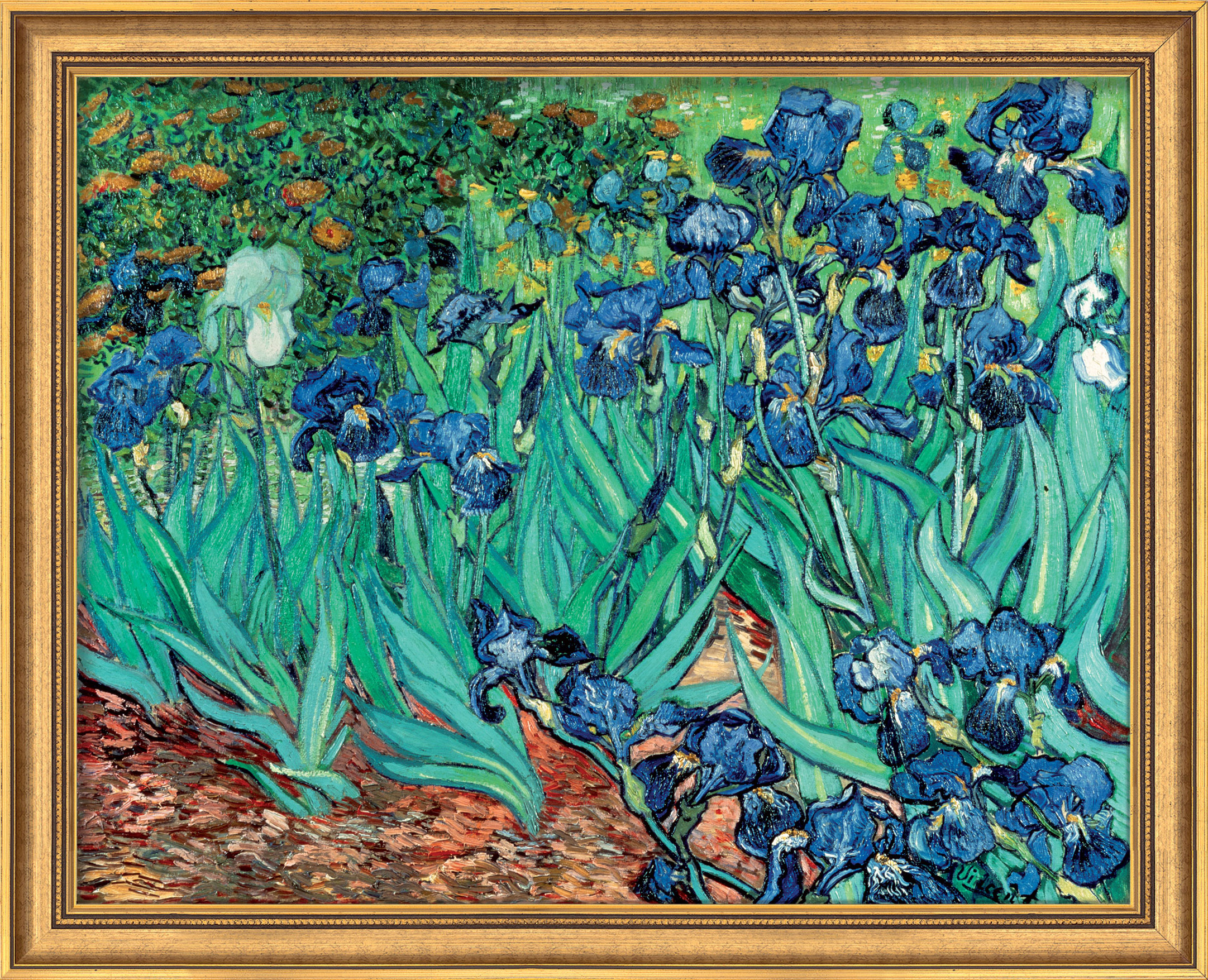 Achetez Tableau Iris (1889), encadré par Vincent van Gogh