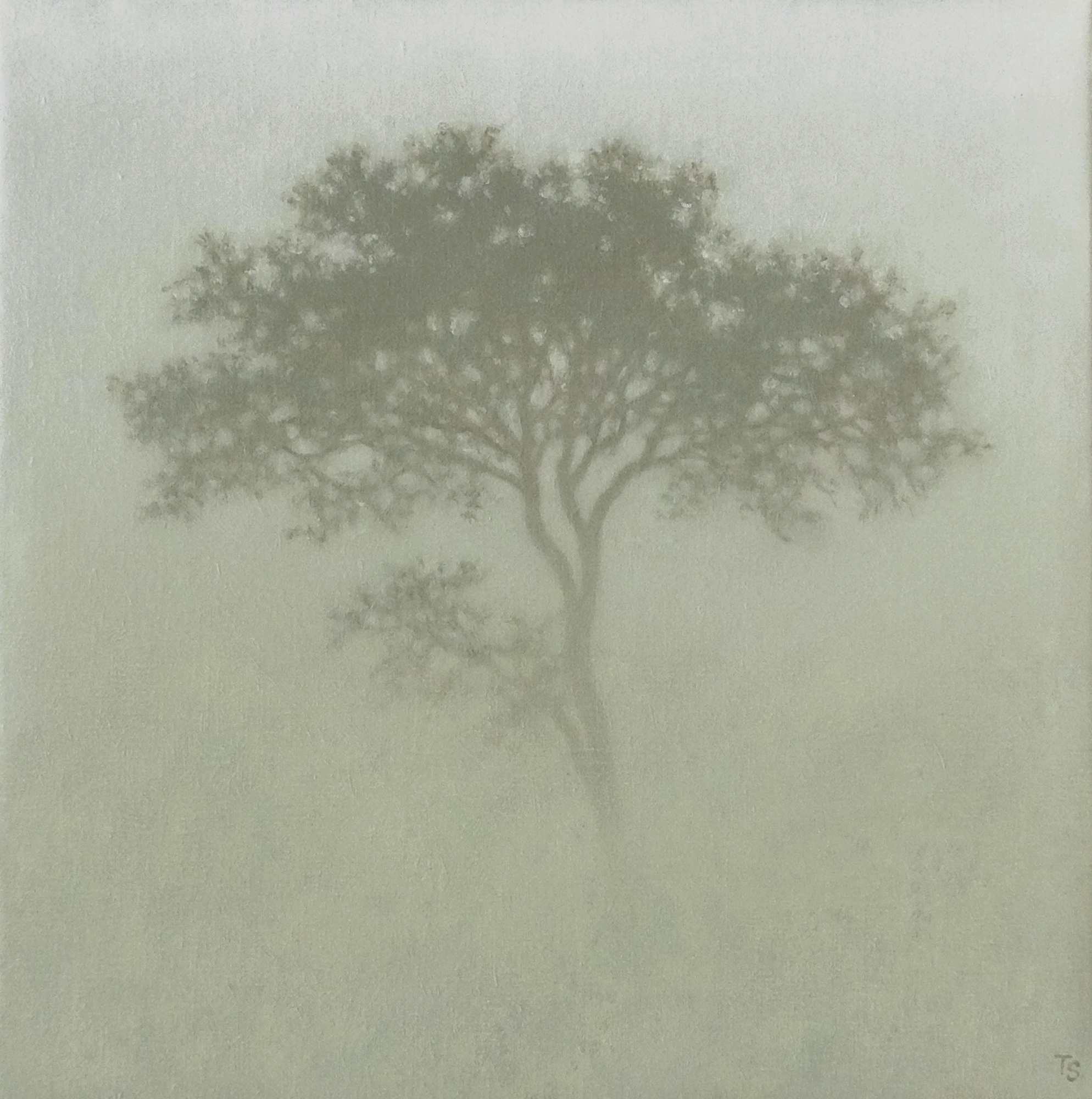 Tobias Spierenburg: Bild ‚Thick fog‘ (2025) (Unikat)