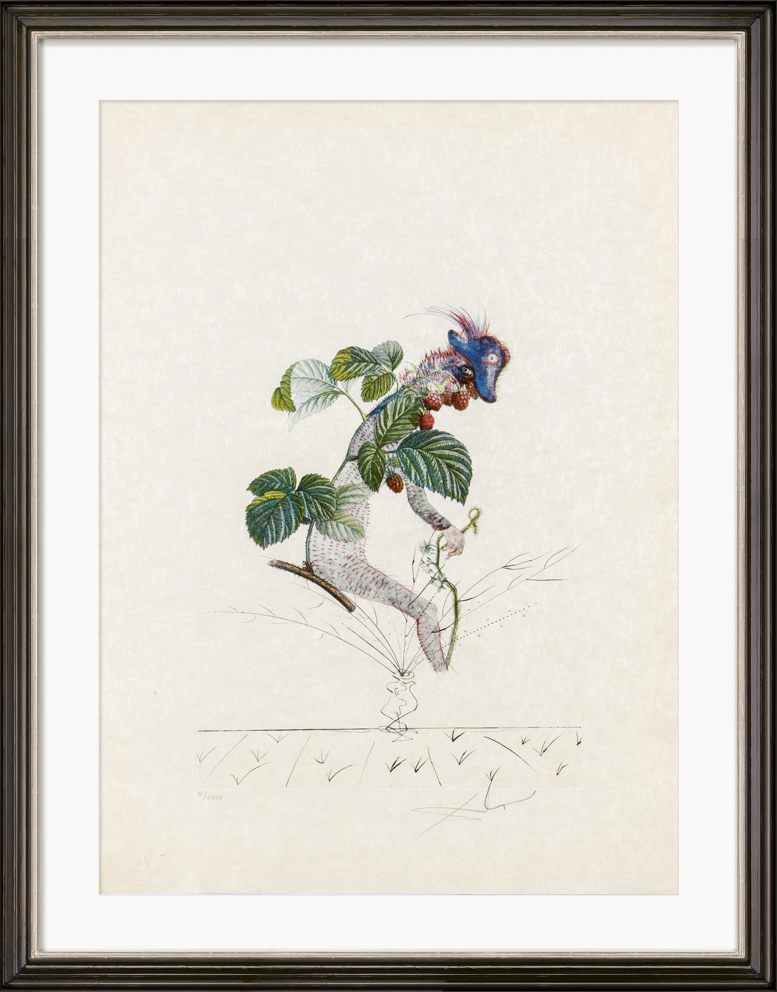 Salvador Dalí: Bild ‚Framboisier‘ (1969)