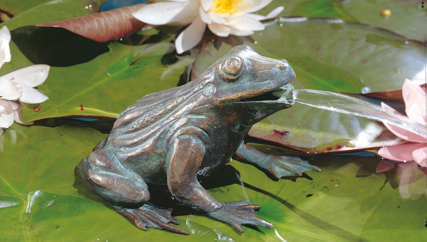 Wasserspeier-Frosch