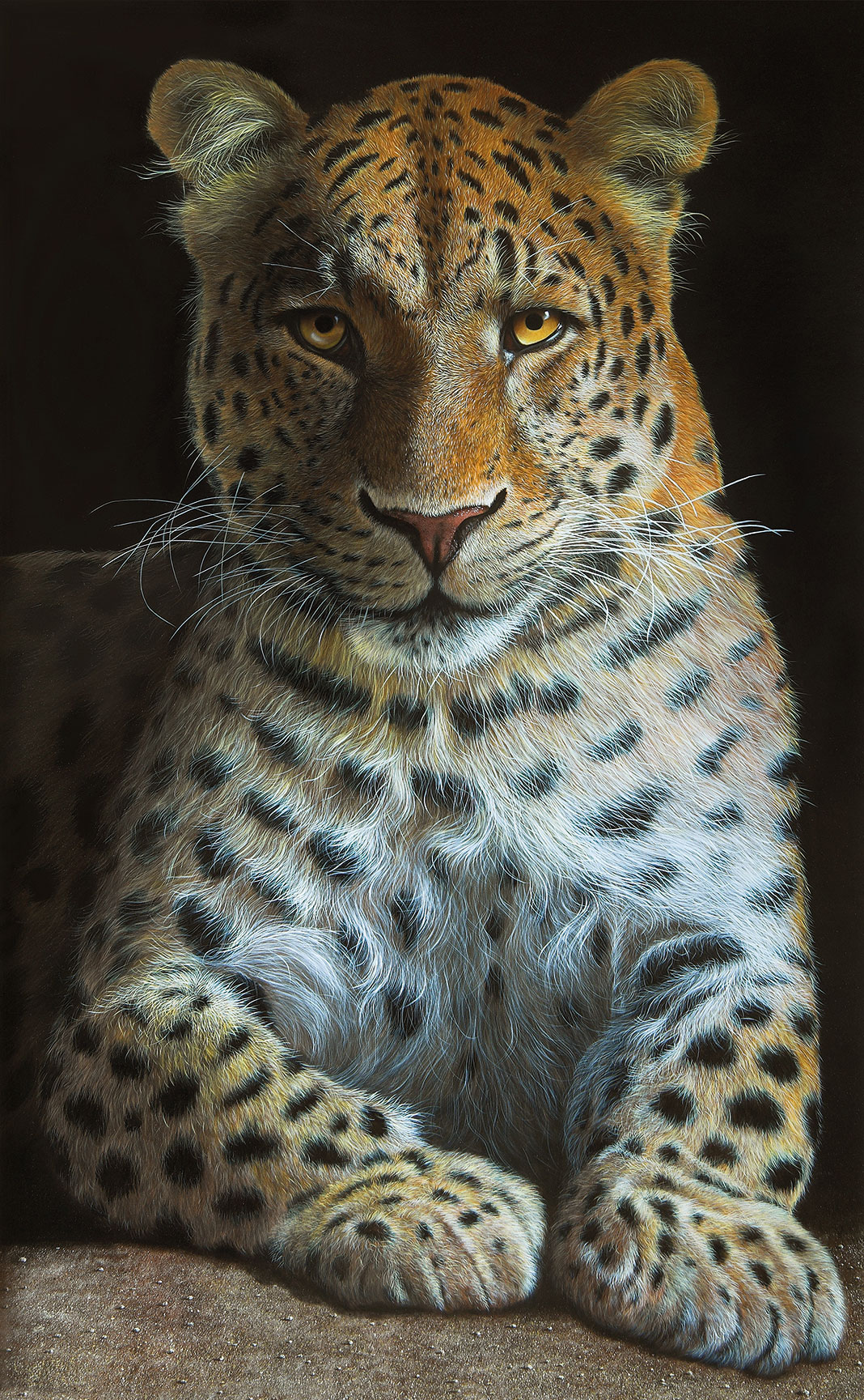 Bild "Leopard", auf Keilrahmen von Gerd Bannuscher