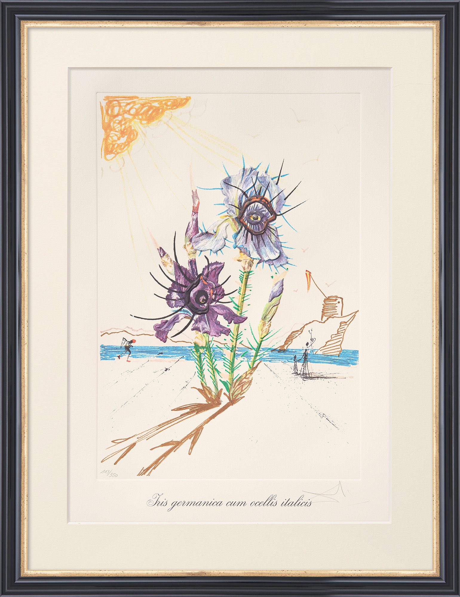 Salvador Dalí: Bild ‚Iris germanica cum ocellis italicis‘ (1972)