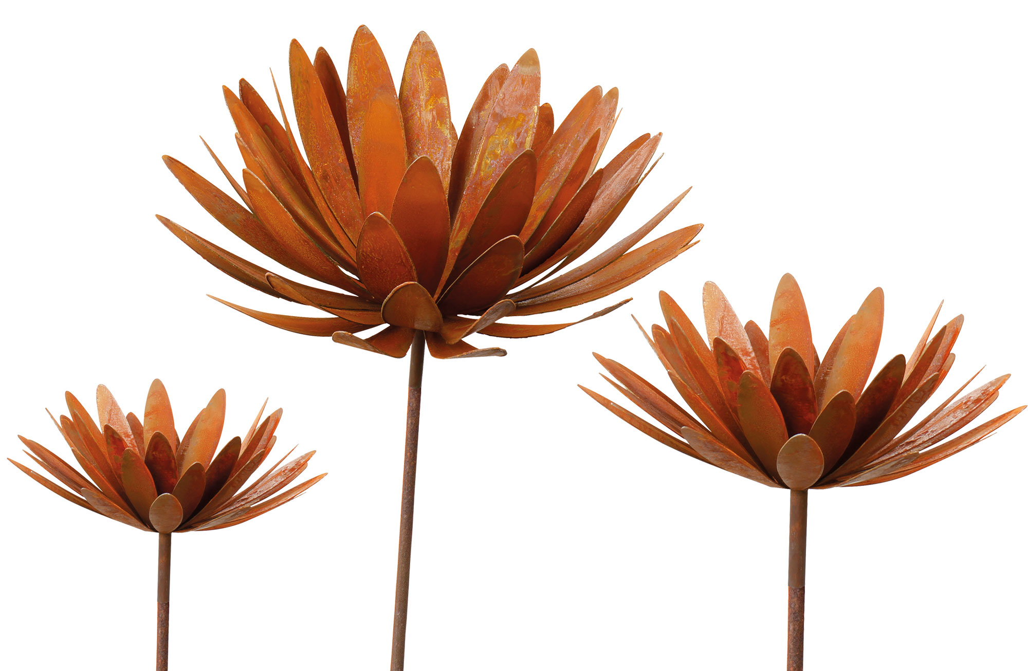 Gartenstecker-Blumenset "Chrysantheme", 3er-Set