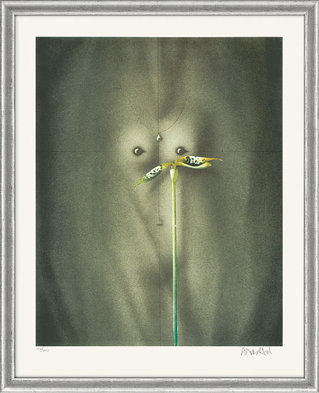 Bild "Torso mit Blume" - aus Grafikfolge "Lithografien II", gerahmt von Paul Wunderlich