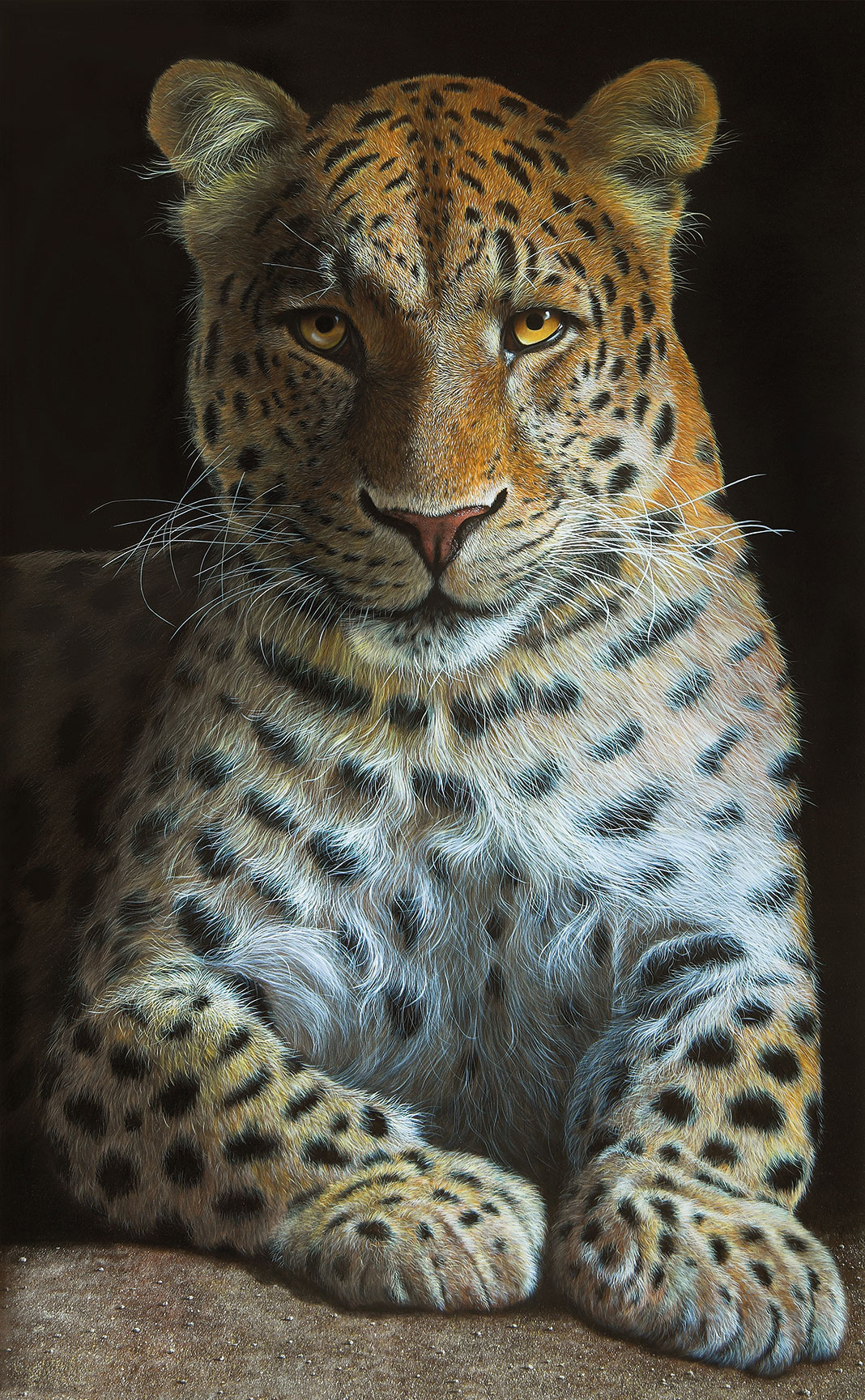Gerd Bannuscher: Bild ‚Leopard‘, auf Keilrahmen