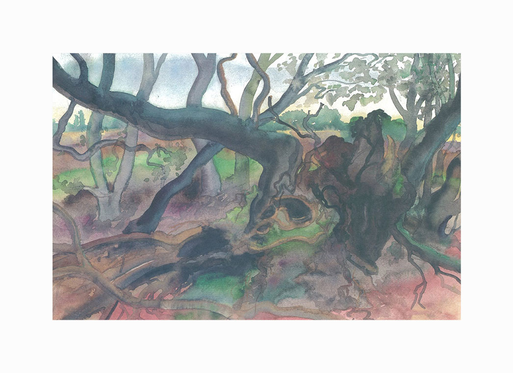Günter Grass: Bild ‚Waldlandschaft auf Moen‘ (2001), ungerahmt