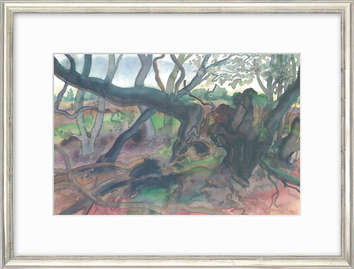 Günter Grass: Bild ‚Waldlandschaft auf Moen‘ (2001), gerahmt