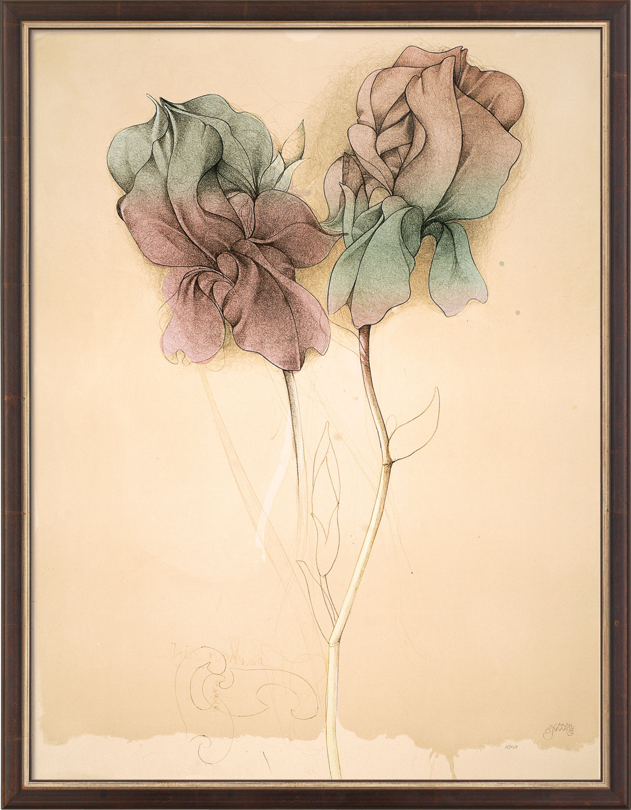 Bruno Bruni: Bild ‚Zwei Lilien‘ (1987), gerahmt