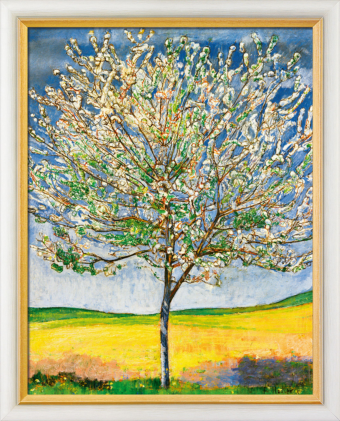 Ferdinand Hodler: Bild ‚Blühender Kirschbaum‘ (1905), gerahmt