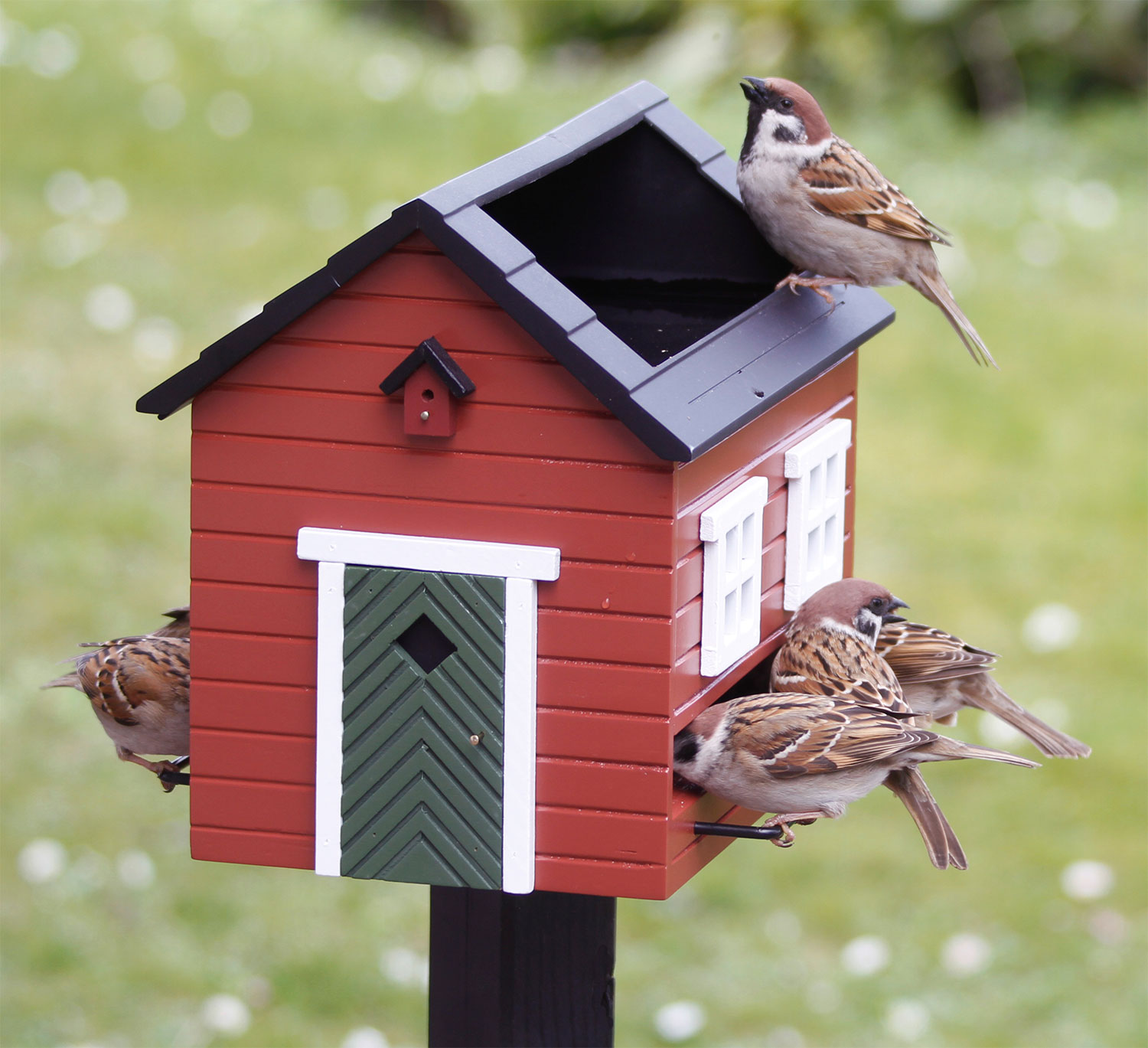 Futterspender/Vogelbad “Rotes Haus” aus Holz, bunt