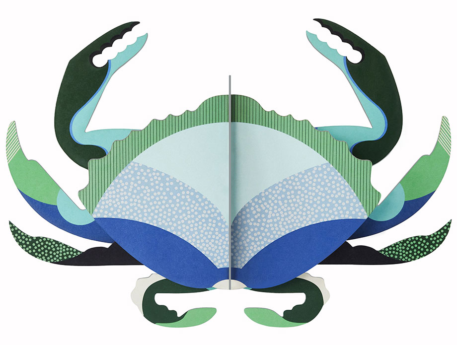 studio ROOF: 3D-Wandobjekt ‚Aquamarine Crab‘ aus recyceltem Karton, DIY