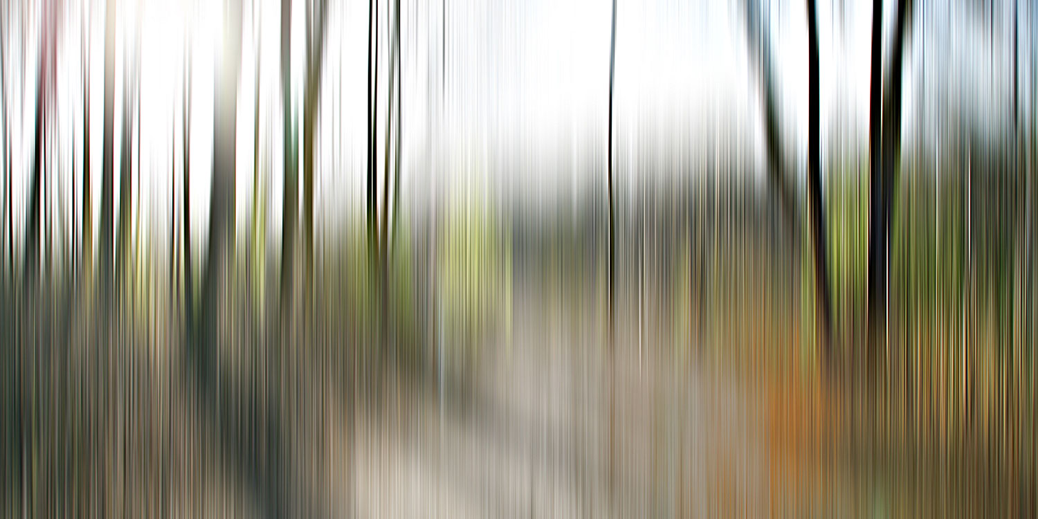 Sabine Wild: Bild ‚Vertikale_54‘ (2006)