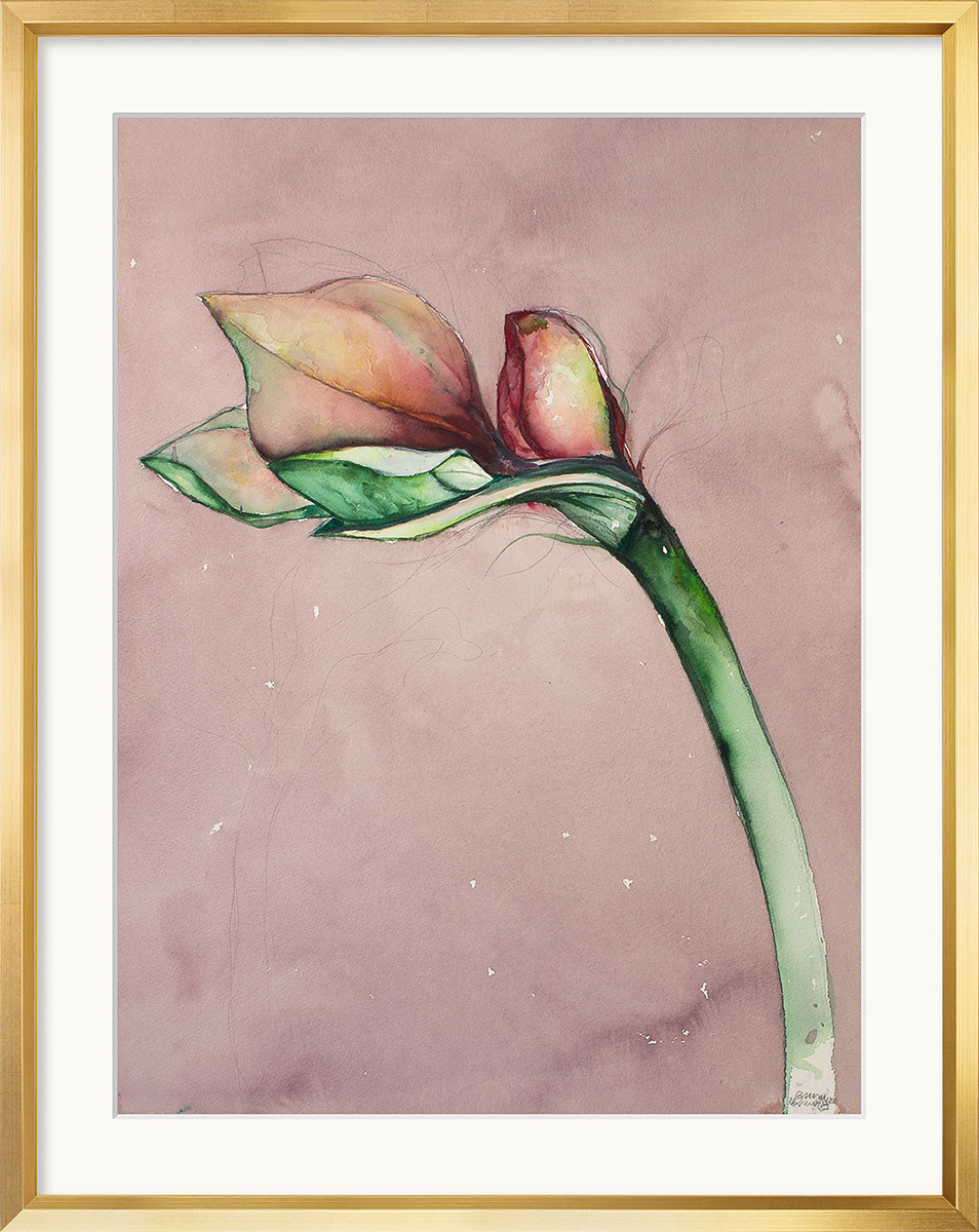 Bruno Bruni: Bild ‚Amaryllis II‘ (Original / Unikat), Version goldfarben gerahmt
