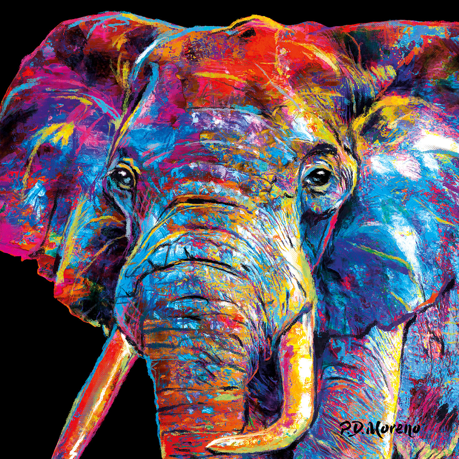 PD Moreno: Bild ‚Elephant‘