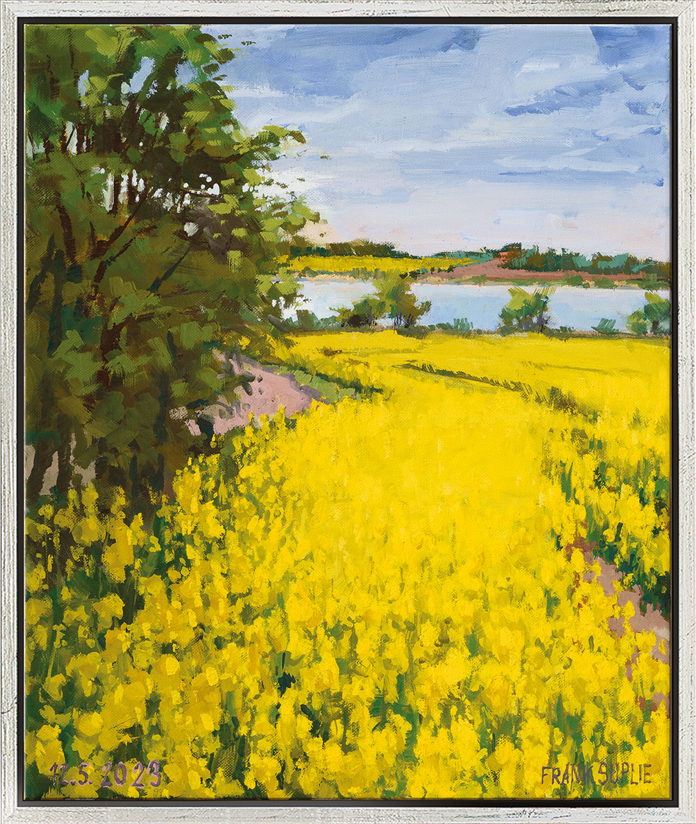 Frank Suplie: Bild ‚Raps bei Boknis an der Schlei‘ (2023), gerahmt