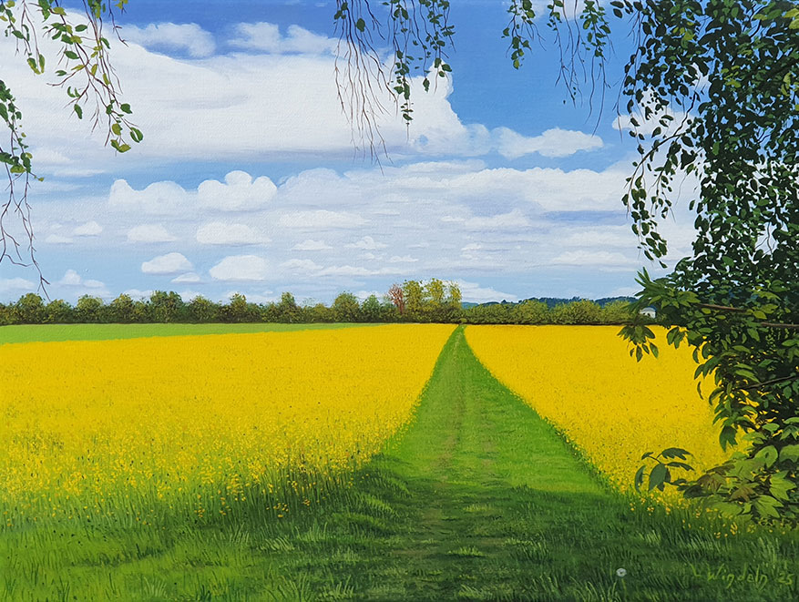 Leo Windeln: Bild ‚Rapsfeld im Frühling‘ (2025) (Original / Unikat), auf Keilrahmen