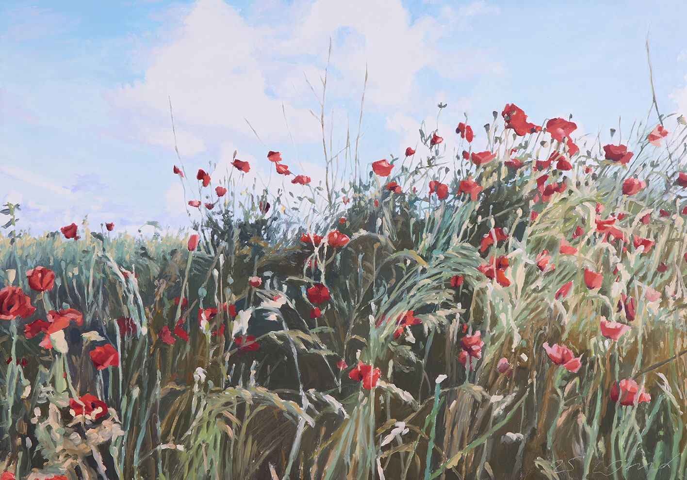 Susanne Wind: Bild ‚Amrumer Klatschmohn‘ (2025) (Original / Unikat), auf Keilrahmen