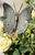 Gartenstecker "Schmetterling auf Bronzestab"