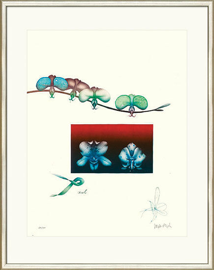 Tableau "Orchidée II", catalogue raisonné no. 725, encadré von Paul Wunderlich