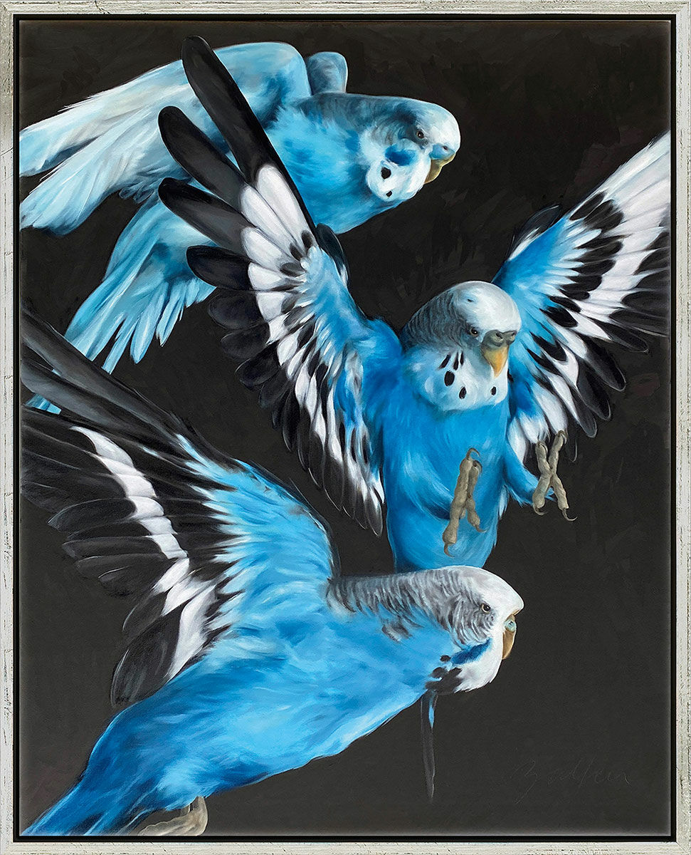 Picture "Blue Budgies" (2022) (Original / Unique piece), framed by Maria Zalfen-Lenz