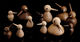 Houten figuur "Vogel Naturelkleurig" (klein, hoogte 7,5 cm) - Ontwerp Christian Vedel van ArchitectMade