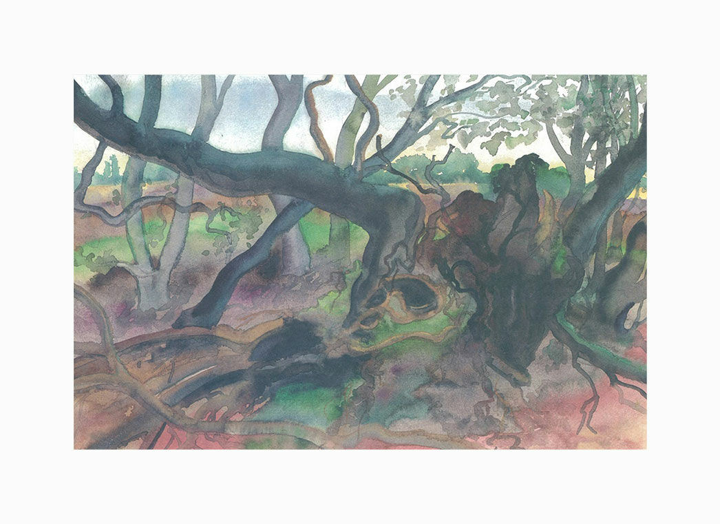 Billede "Skovlandskab på Møn" (2001), uindrammet von Günter Grass