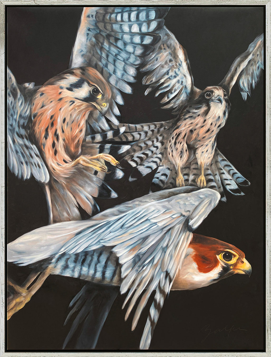 Picture "Falcons" (2022) (Original / Unique piece), framed by Maria Zalfen-Lenz