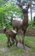 Sæt af 2 haveskulpturer "Doe and Fawn", bronze af Helmut Diller