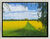 Picture "Rape Field in Spring" (2025) (Original / Unique piece), framed
