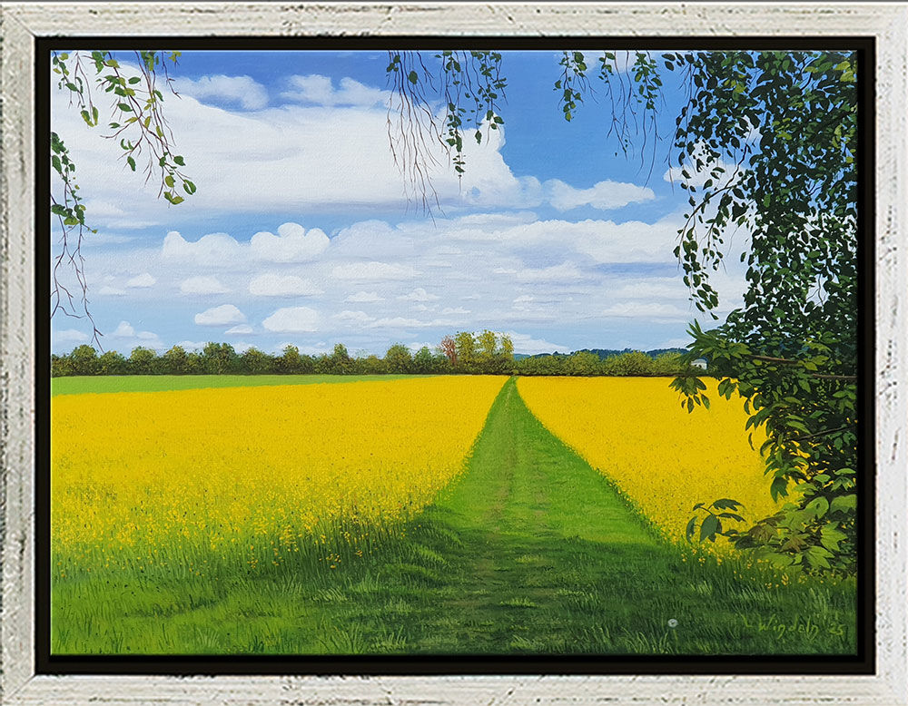 Picture "Rape Field in Spring" (2025) (Original / Unique piece), framed by Leo Windeln