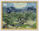 Schilderij "Olijfbomen met Les Alpilles" (1889), ingelijst van Vincent van Gogh