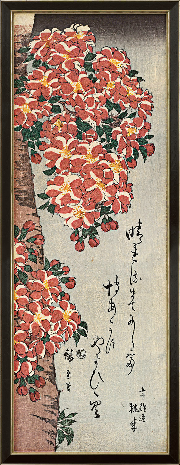 Bild "Double Cherry in Flower", gerahmt von Ando Hiroshige