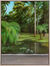 Obraz „Palm Beach Garden“ (2026)