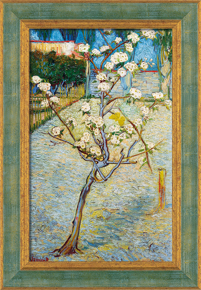 Bild "Blühender Birnbaum" (1888), gerahmt von Vincent van Gogh
