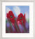 Bild "Mohnblüten" (Original / Unikat), gerahmt