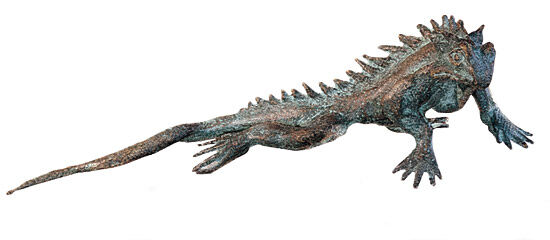 Bronze Iguana