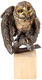Scultura "Gufo", versione in bronzo marrone di Kristin Kolb