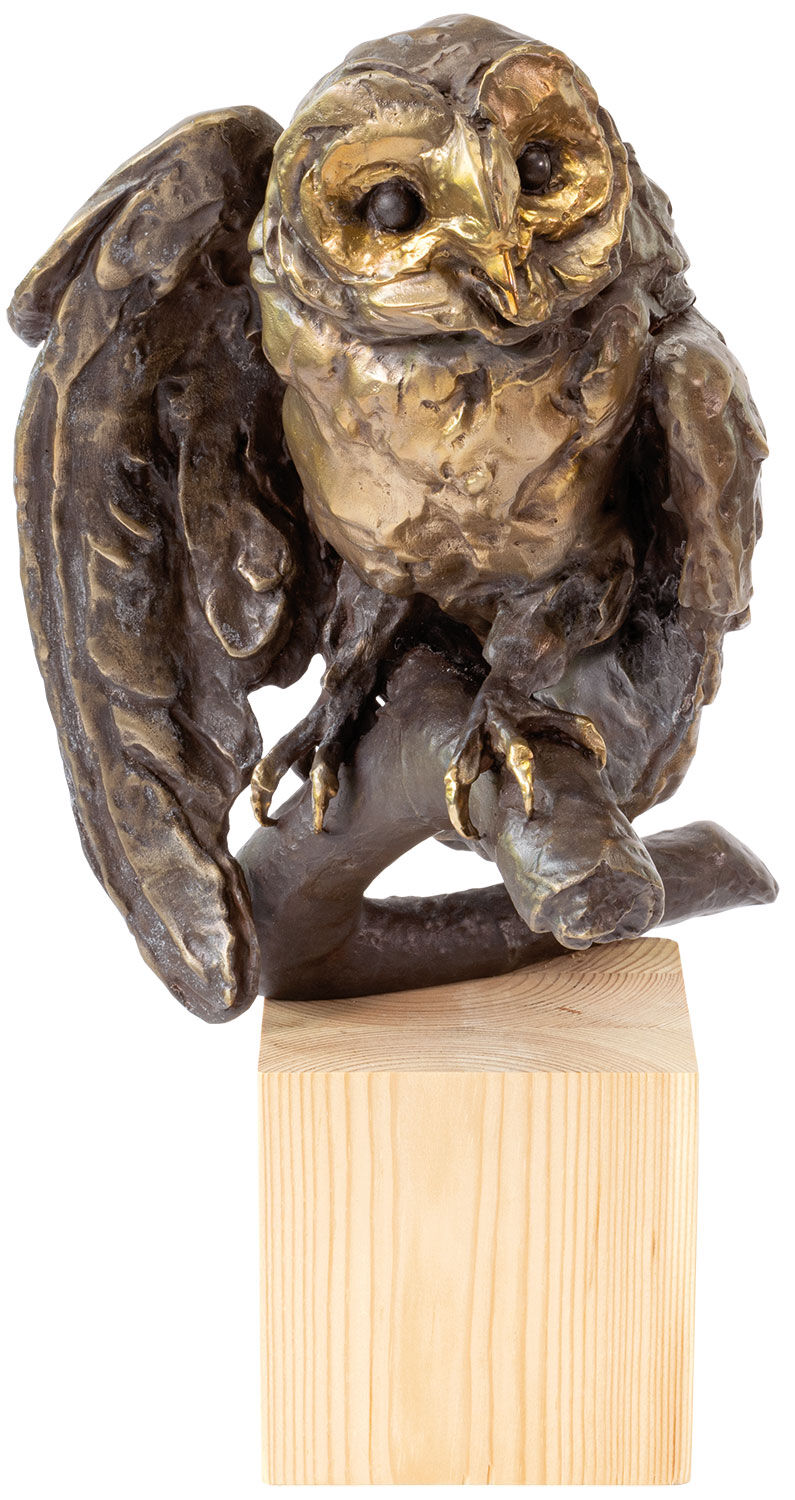 Scultura "Gufo", versione in bronzo marrone di Kristin Kolb