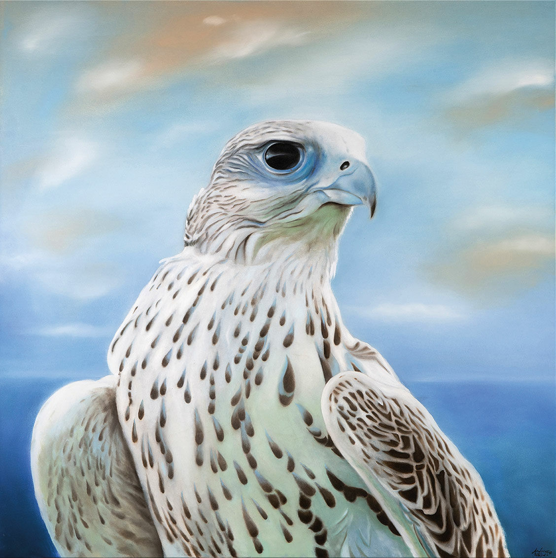 Bild "Der Falke", auf Keilrahmen von Andreas Weische