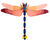 3D-väggobjekt "Giant Dragonfly" tillverkat av återvunnen kartong, DIY