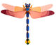 3D-väggobjekt "Giant Dragonfly" tillverkat av återvunnen kartong, DIY av studio ROOF